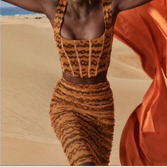 NEW Zara ruched tulle skirt - Picture 2 of 9